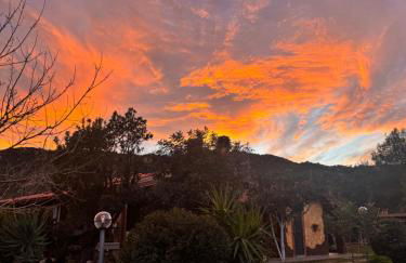 L'Uliveto HOLIDAY HOUSE - Photo 3