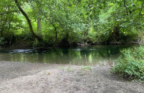 The Garden Room - Foto 21