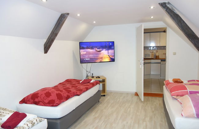 Tolstov-Hotels Large 3 Room Apartment with Garden - Foto 24