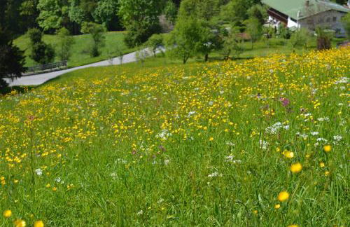 Salzbergalm - Foto 68