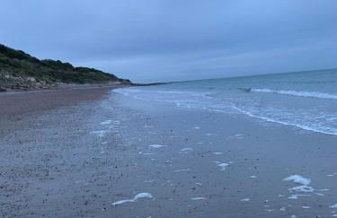 Bliss Beach Lodge Breath taking views - Foto 18