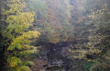 Charlys Bleibe Gastunterkunft inmitten der Natur - Foto 49