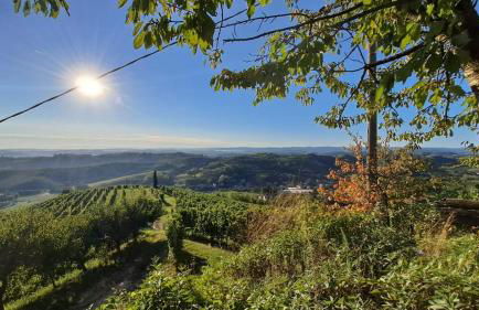 Casa Nonna Ada - Foto 74