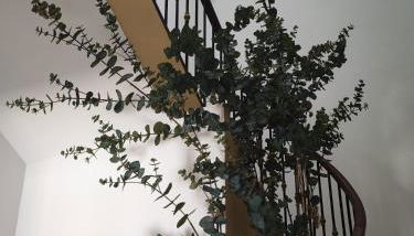 Apartamento Albariño 23 - Foto 3