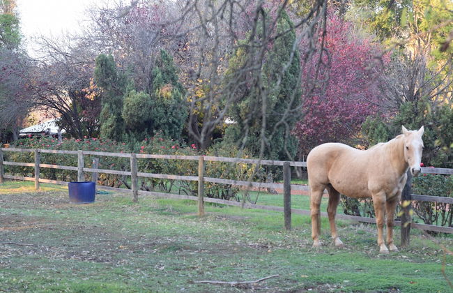 Brockman Park Estate - Foto 40