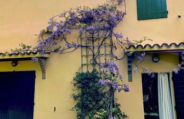 Casale del monte, Pesaro - Foto 6