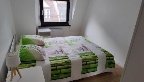 Le Green Duplex moderne en hypercentre - Foto 4