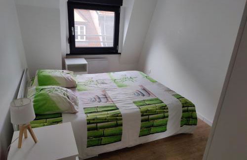 Le Green Duplex moderne en hypercentre - Foto 4