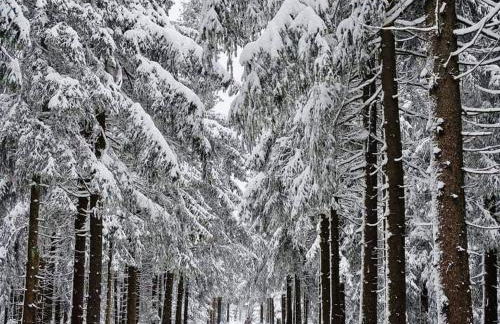 Bungalow Schwarzatalblick in Bad Blankenburg Ortsteil Böhlscheiben - Foto 67