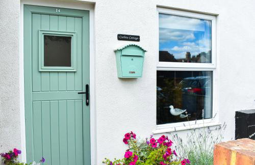 Curlew Cottage - Suffolk Coastal Escapes - Foto 33