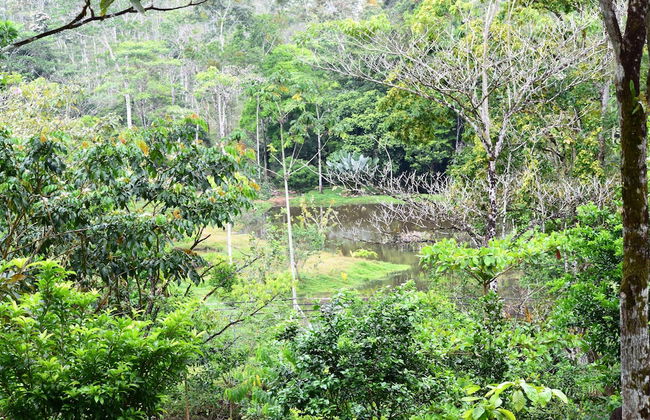 Hotel Finca L’Étoile Celeste - Foto 55