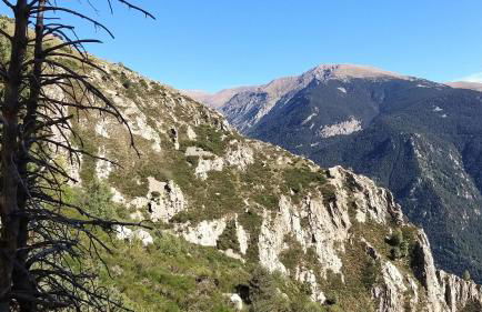 Apartament SIAT - Foto 40