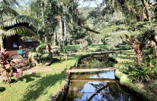 Magia e lazer - Chácara Lucinda - 12km do centro de Morretes - Foto 9