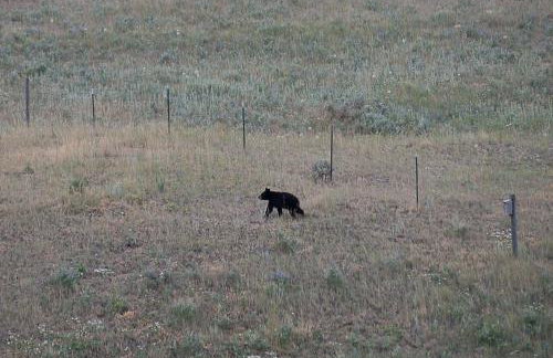 The Shepherd's Retreat - Foto 14