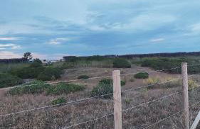 Alda House - Foto 33