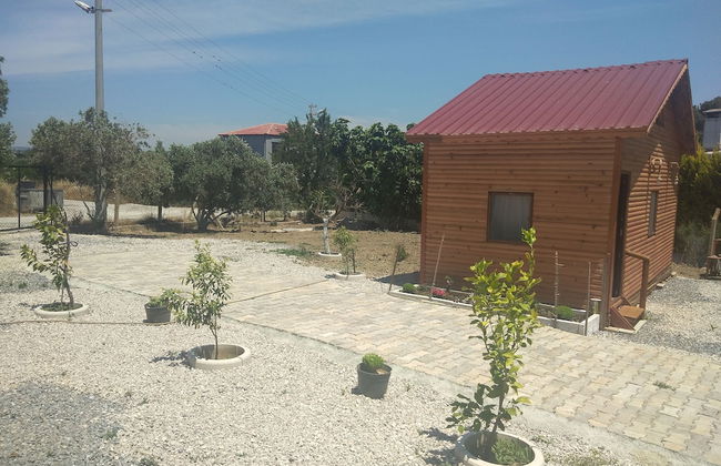 Akarca Bag Evleri - Photo 25