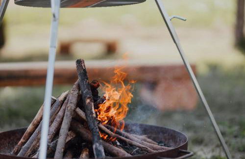 BodenSEE Apartment Neukirch Goppertsweiler HASE - Foto 6