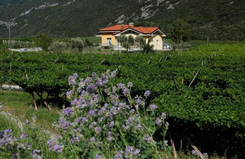 Appartamenti Al Vigneto - Photo 1