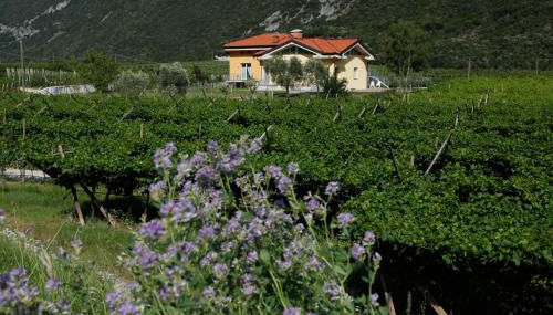 Appartamenti Al Vigneto - Foto 1