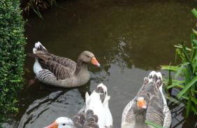 Wild Coastal Retreat at Troed Y Rhiw Aberporth, West Wales - Foto 32