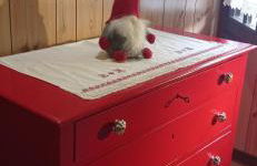 Casa San Bartolomè - Foto 33