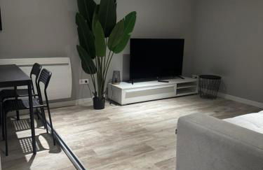 Geis 4 places 50m2 en sous plex - Photo 10