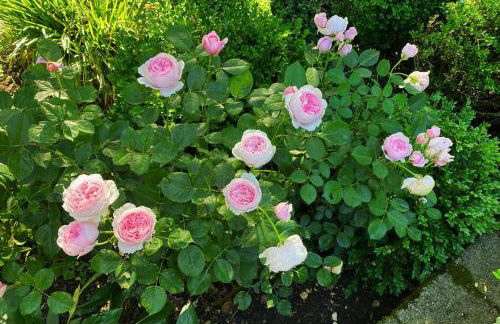 private luxe, garden, wellness home steps from Princeton - Foto 14