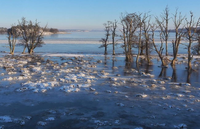 10 Person Holiday Home in Ry - Photo 57