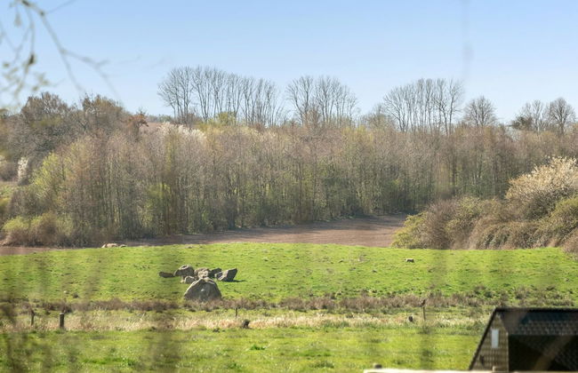 3 bedroom House in Broager with terrace and sauna - Photo 29