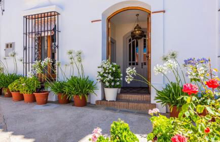 Atico la Carrasquilla Gaucin by Ruralidays - Foto 35