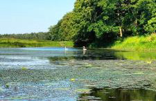 Siedlisko Na Szlaku Odry - Foto 20