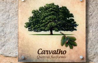 Moinhos do Pisão - Foto 40