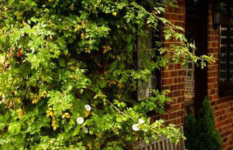 Tovey Lodge - Foto 47