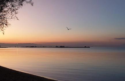 Diamond Sunset Apartments - Foto 27