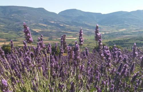 maisonnette le cabanon - Foto 10