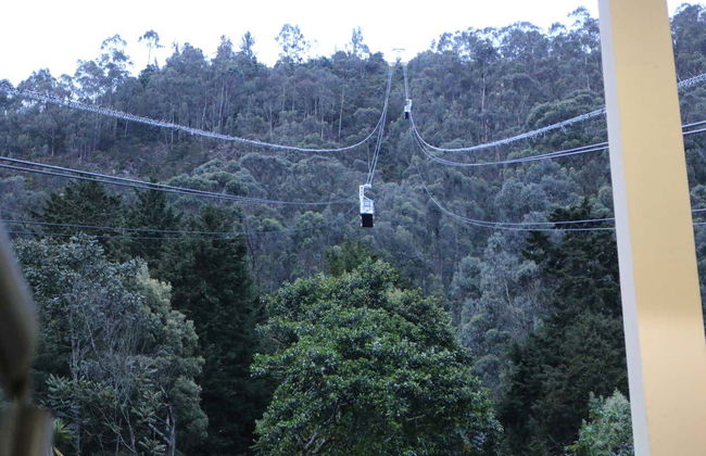 Guided Tour of Monserrate - Photo 5