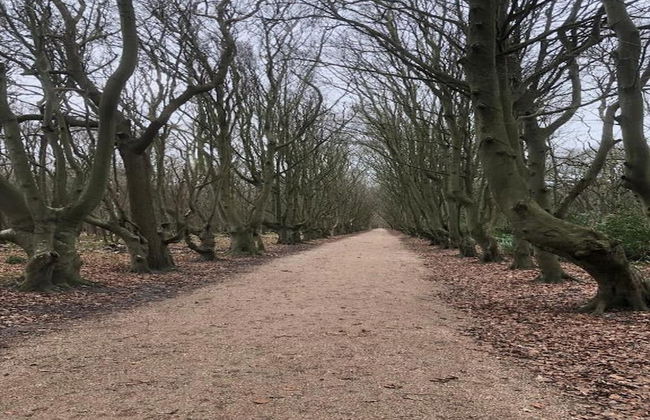 Cozy 4-person Stay at Rustenpolder - Photo 29