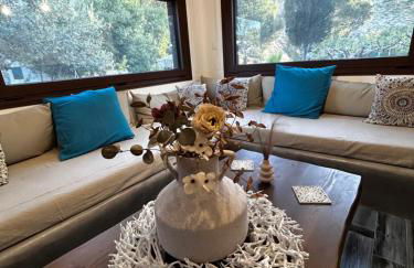 Aithonas Villa - Foto 34