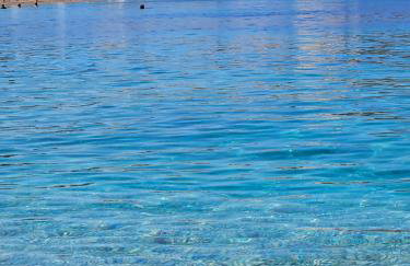 Apartments Zorka 2 - Foto 14