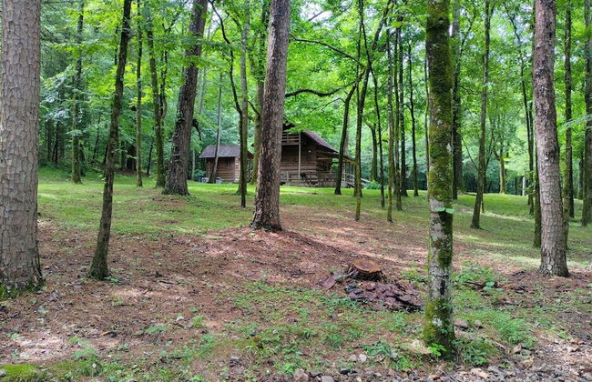 Bean Creek Cabins - Foto 6