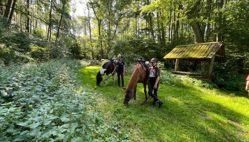 JZ Guest Ranch - Foto 3