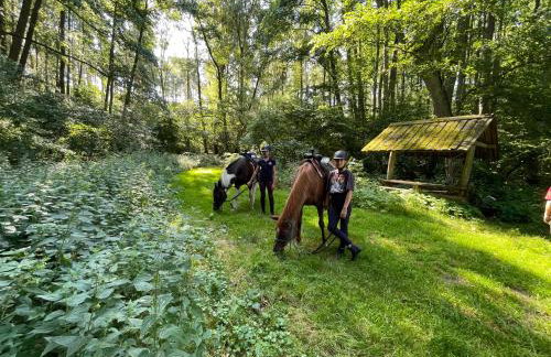 JZ Guest Ranch - Foto 3