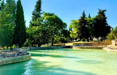 Verde Oliva Albero Limon - Photo 42