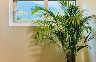 Casa da Laurinha - Foto 26