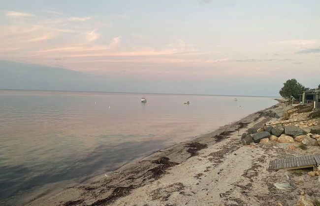 Peter's Port - Photo 11