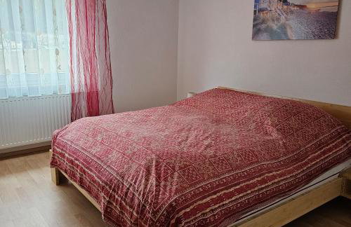 Eichhörnchen-Haus Körner im Schwarzwald - Foto 1