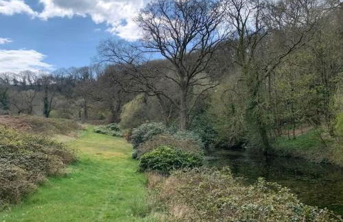 Jurassic Coast Holiday Home - Photo 6