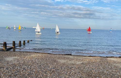 Trafalgar, lovely ground floor flat with outside patio garden, minutes walk to seafront - Photo 22