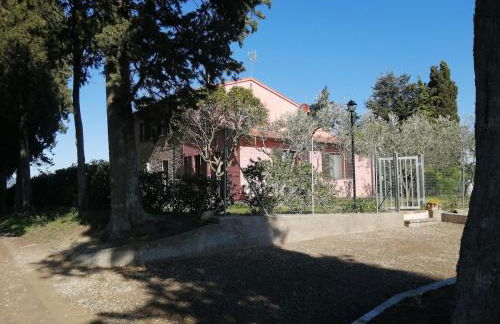 Podere Quercia al Santo - Foto 19