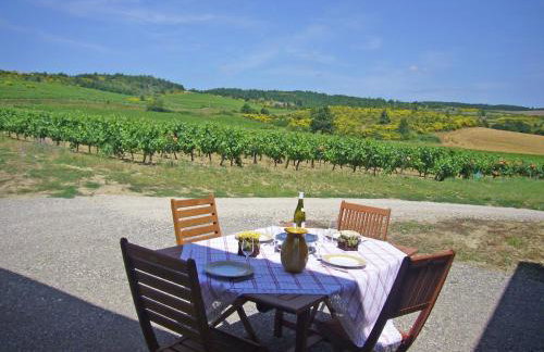 Villa in Conilhac with Private Terrace - Foto 16